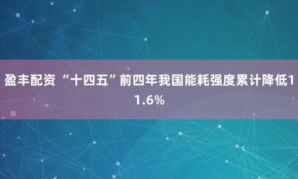 盈丰配资 “十四五”前四年我国能耗强度累计降低11.6%