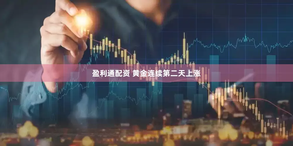 盈利通配资 黄金连续第二天上涨