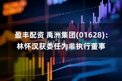 盈丰配资 禹洲集团(01628):林怀汉获委任为非执行董事
